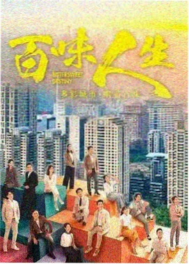 雾港谜案悬疑剧全集