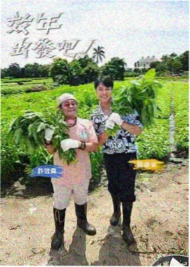 夜里开麦脱口秀综艺